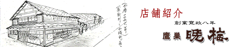 店舗紹介